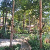 Ver anúncio COD ref#2182