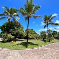 Ver anúncio COD ref#2186