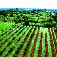 Ver anúncio COD ref#2191