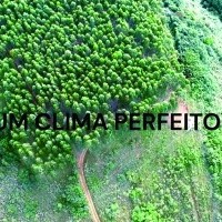 Ver anúncio COD ref#2191