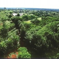 Ver anúncio COD ref#2191