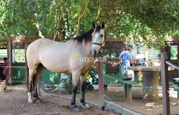 Foto ﾹ27 Fazenda/Sítio Venda em Bahia, Lauro de Freitas, Rua Terra Maior,  10