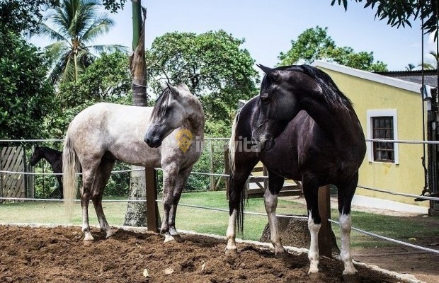 Foto ﾹ30 Fazenda/Sítio Venda em Bahia, Lauro de Freitas, Rua Terra Maior,  10