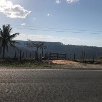 Ver anúncio COD ref#2197