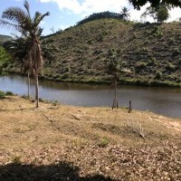 Ver anúncio COD ref#2197