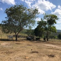 Ver anúncio COD ref#2197