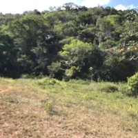 Ver anúncio COD ref#2197