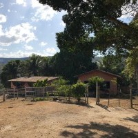 Ver anúncio COD ref#2197