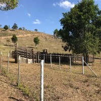 Ver anúncio COD ref#2197