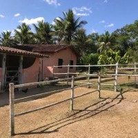 Ver anúncio COD ref#2197