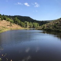 Ver anúncio COD ref#2197