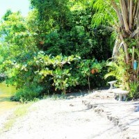 Ver anúncio COD ref#2246