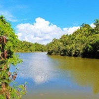 Ver anúncio COD ref#2246