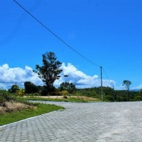 Ver anúncio COD ref#2246