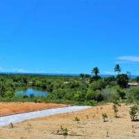 Ver anúncio COD ref#2246