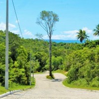 Ver anúncio COD ref#2246