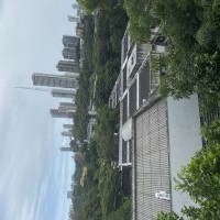 Ver anúncio COD ref#2259