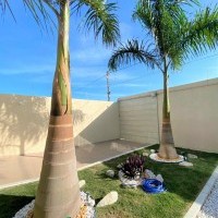 Ver anúncio COD ref#2264