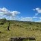 Foto ﾹ1 Fazenda/Sítio Venda em Bahia, Macarani, 8 Km da Rodovia Itapetinga/Macarani