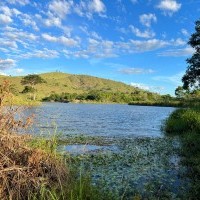 Ver anúncio COD ref#2268