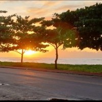 Ver anúncio COD ref#2284