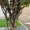 Foto ﾹ17 Casa Venda em Bahia, Porto Seguro, village 2