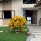 Foto ﾹ16 Casa Venda em Bahia, Porto Seguro, village 2