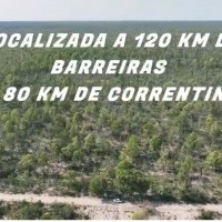 Ver anúncio COD ref#2306