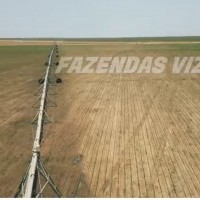 Ver anúncio COD ref#2306