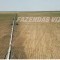 Foto ﾹ5 Fazenda/Sítio Venda em Bahia, Correntina, Oeste da Bahia