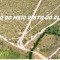 Foto ﾹ6 Fazenda/Sítio Venda em Bahia, Correntina, Oeste da Bahia