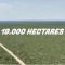 Foto ﾹ13 Fazenda/Sítio Venda em Bahia, Correntina, Oeste da Bahia