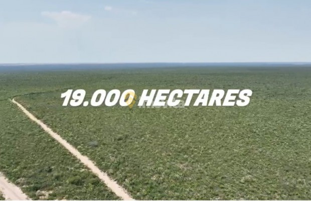 Foto ﾹ13 Fazenda/Sítio Venda em Bahia, Correntina, Oeste da Bahia