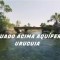 Foto ﾹ18 Fazenda/Sítio Venda em Bahia, Correntina, Oeste da Bahia