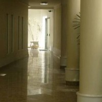 Ver anúncio COD ref#281