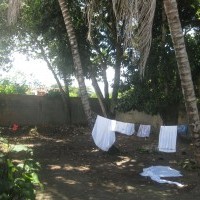 Ver anúncio COD ref#307