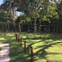 Ver anúncio COD ref#308