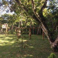 Ver anúncio COD ref#308