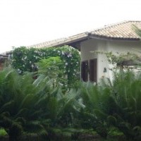 Ver anúncio COD ref#324