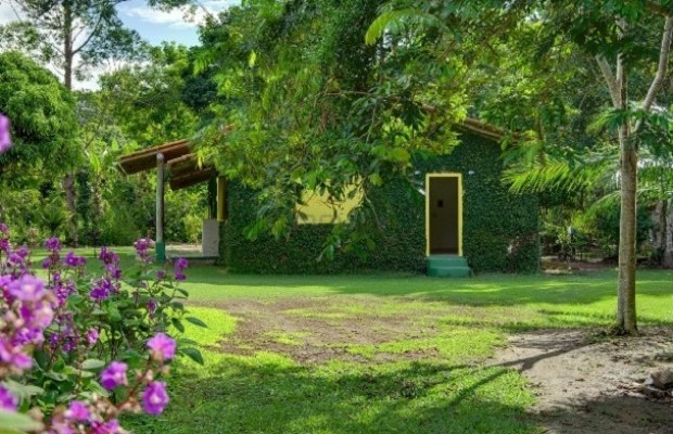 Foto ﾹ3 Fazenda/Sítio Venda em Bahia, Trancoso, Estrada de Caraíva