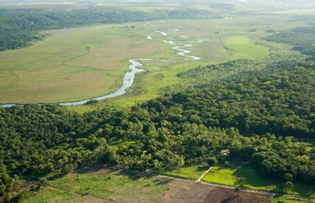 Foto ﾹ14 Fazenda/Sítio Venda em Bahia, Trancoso, Estrada de Caraíva