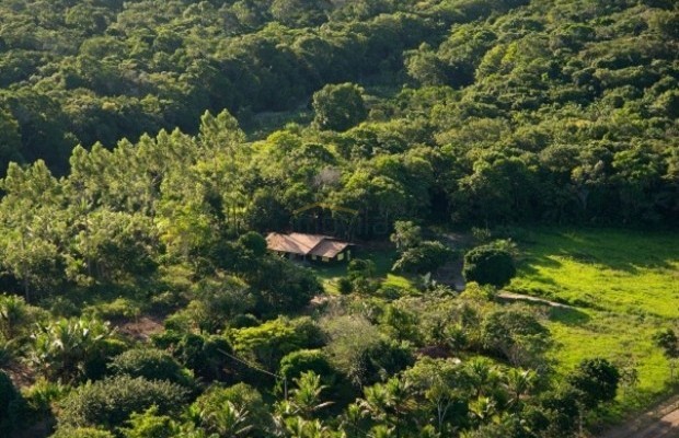 Foto ﾹ15 Fazenda/Sítio Venda em Bahia, Trancoso, Estrada de Caraíva