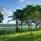 Foto ﾹ19 Fazenda/Sítio Venda em Bahia, Trancoso, Estrada de Caraíva