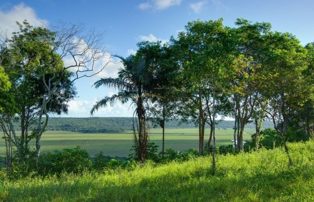 Foto ﾹ19 Fazenda/Sítio Venda em Bahia, Trancoso, Estrada de Caraíva