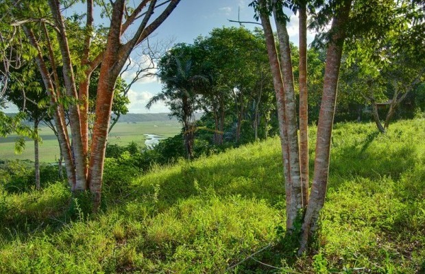 Foto ﾹ21 Fazenda/Sítio Venda em Bahia, Trancoso, Estrada de Caraíva