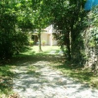 Ver anúncio COD ref#385