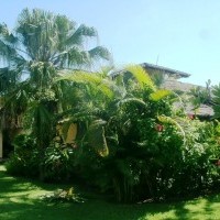 Ver anúncio COD ref#417