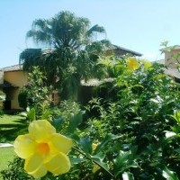 Ver anúncio COD ref#417