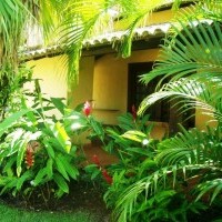 Ver anúncio COD ref#417