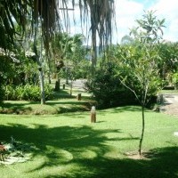 Ver anúncio COD ref#417